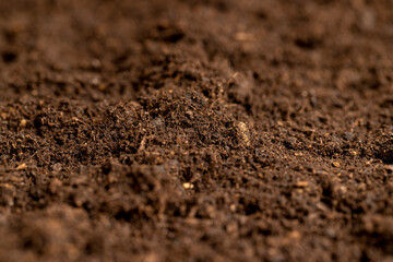 details of agricultural soil to improve the quality of crop plants
