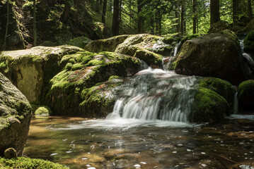wodospad w leśnym otoczeniu, bujnej zieleni lata. © siwyk