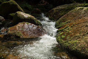 wodospad w leśnym otoczeniu, bujnej zieleni lata. © siwyk