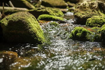 wodospad w leśnym otoczeniu, bujnej zieleni lata. © siwyk