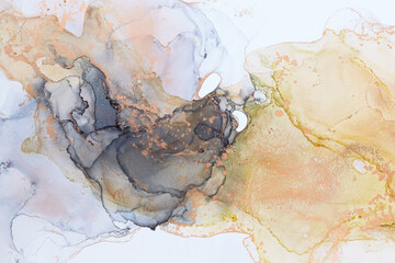 Fototapeta premium Abstract hand painted alcohol ink texture