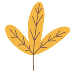 Autumn leaf icon decoration 