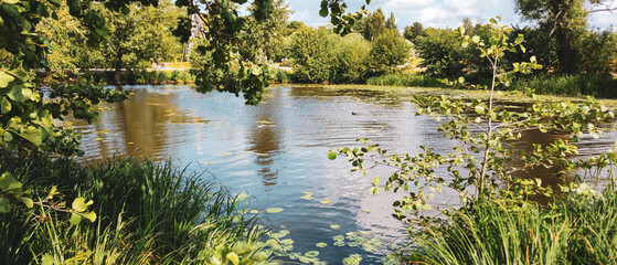 nature purity grass and trees on the the pond in vasteras city in Sweden