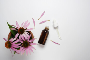 Coneflower extract with dropper and flowers isolated on white background. Topview, flat lay. Space for text. 