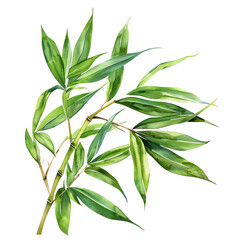 Fototapeta premium Vibrant watercolor illustration of green bamboo leaves. Perfect for nature-themed designs and tropical decor projects.