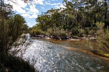Serene river flowing through a forest with lush green trees under a bright blue sky