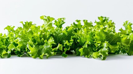 Obraz premium Fresh green lettuce leaves on a white background. Crisp and vibrant texture, perfect for salads and healthy meals.