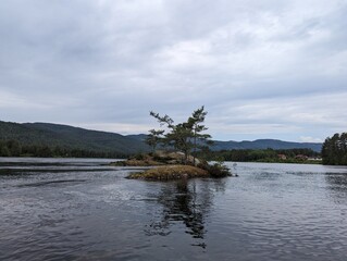 Photo of Norwegian nature, forest, sea