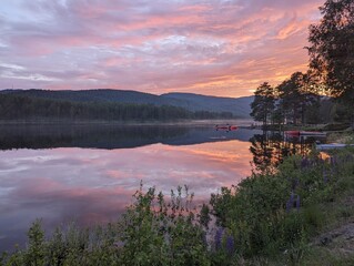 Photo of Norwegian nature, forest, sea