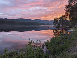 Photo of Norwegian nature, forest, sea