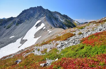 Fototapeta premium 紅葉の北アルプス 立山連峰縦走