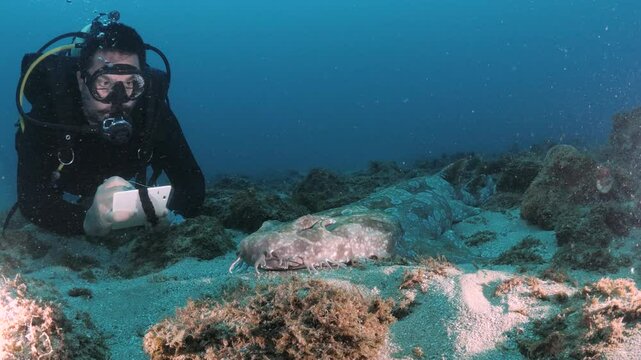 A scuba diver records data underwater on a slate while observing a shark for a marine science project.