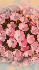 Top view image of delicate pink flowers over pastel background