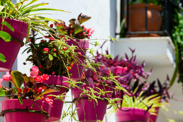 Street with pots in Estepona, Andalusia, Spain, Europe