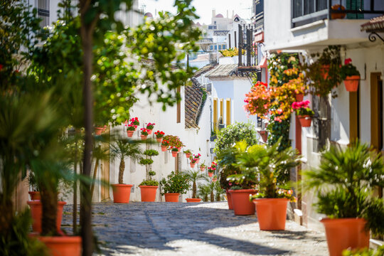 Street with pots in Estepona, Andalusia, Spain, Europe