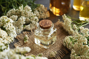 A bottle of aromatherapy essential oil with fresh yarrow flowers