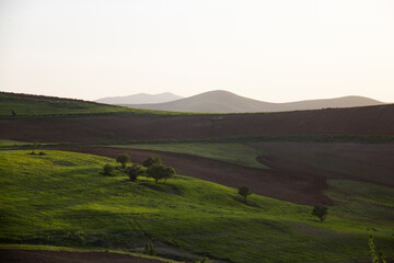 Fototapeta premium The bright nature of the Kurdistan region of Iran in May, Iran