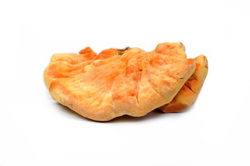 Sulphur shelf fungus, Laetiporus sulphureus, or chicken of the woods isolated on white.