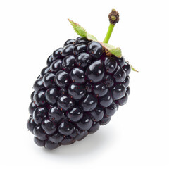 A single, fresh mulberry with a dark purple hue, isolated on white background