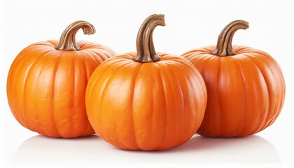 Fototapeta premium pumpkin isolated on white