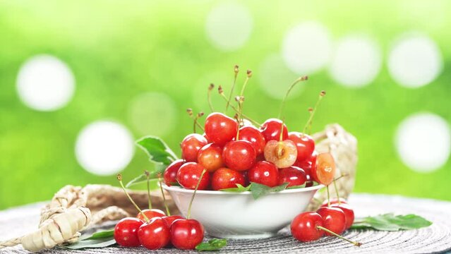 Red Cherry fruit on blurred greenery background, Red highest variety of cherries in white bowl on wooden table in the garden.