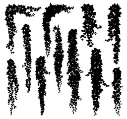 Vertical isolated ivy lianas silhouettes of vector frame border lines or corners. Black vines of creeper plants, hanging branches and leaves. Garden ivy plants or hedera tree lianas, floral decor set © Vector Tradition