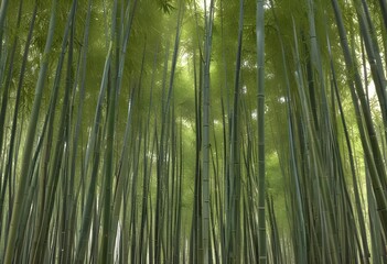 Fototapeta premium Deep bamboo forest, lights from above