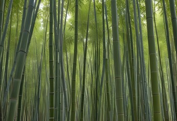 mesmerizing waste bamboo forest, no people