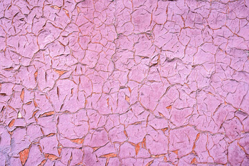Old peeling paint background. Old flakes pink paint texture wall surface