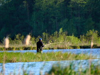 Samotny rybak łowi ryby na śródleśnych rozlewiskach w wiosennym dniu. © JDziedzic