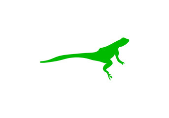 chameleon logo template logo icon vector illustration