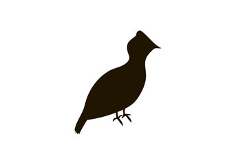 bird icon logo template icon vector illustration