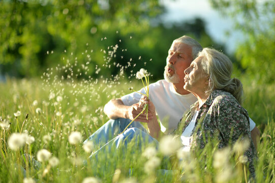 Portrait of senior couple sitting on the grass in the park