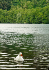 Riserva laghi di Monticchio, Badia San Michele e abbazia di Sant'Ippolito