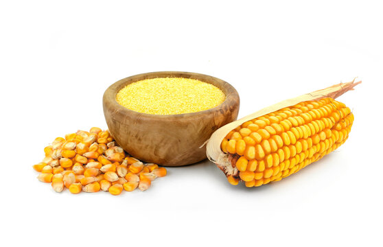 Corn meal polenta in wooden bowl and dry corn cobs and grains isolated on white background.
