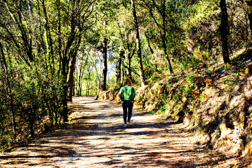 Obraz premium Blonde woman with curly hair walking along the path of trees and leaves in autumn in the Montseny Natural Park in Barcelona, ​​Spain