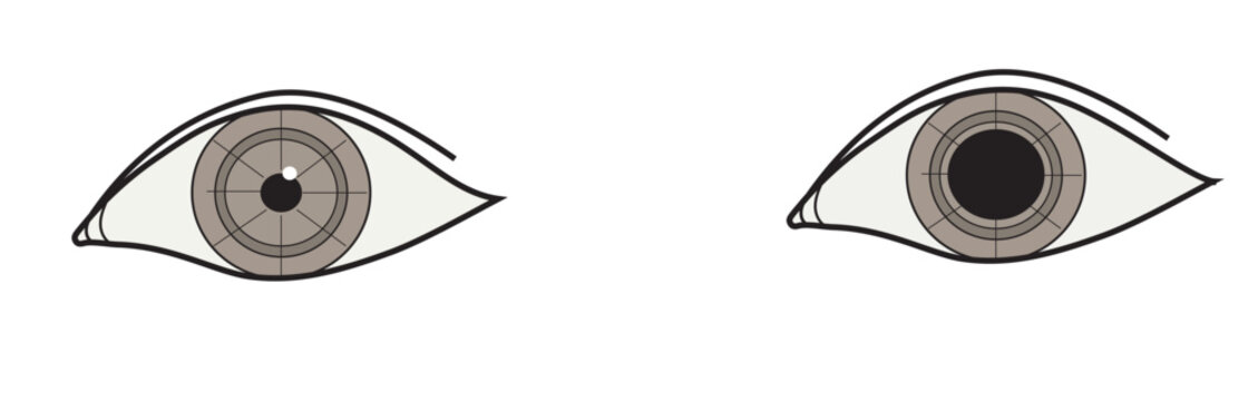 Pupillary reflex in human eye
