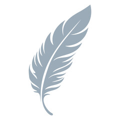 A gray feather