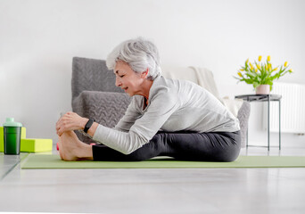 Sporty Lifestyle In Retirement, A Sweet Grey-Haired Woman Exercises On The Living Room Floor