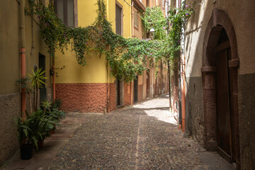 Ruelle fleurie dans le centre de la vieille ville de Bosa en Sardaigne, en Italie