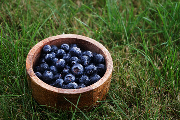 Fresh blueberries in a wooden bowl on green grass