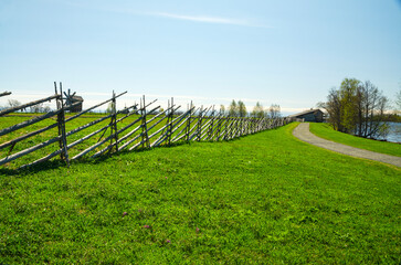 Summer rural landscape