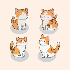 Obraz premium cute orange cats facing each other