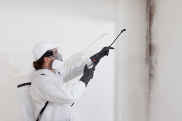 Mold remediation service: A professional worker spraying products to remove mold before house...