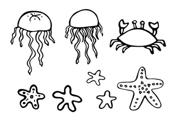 Hand drawn set of jellyfish and starfish icons in Scandinavian style. Underwater ocean fauna. Abstract floating sea creatures. Vector illustration isolated on a white background. Undersea world.
