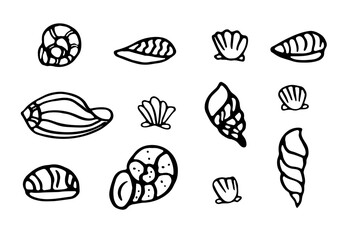 Hand drawn set of seashells icons in Scandinavian style. Ocean exotic seashell mollusk, sea spiral snail. Tropical beach shells. Vector illustration isolated on a white background. Undersea world.