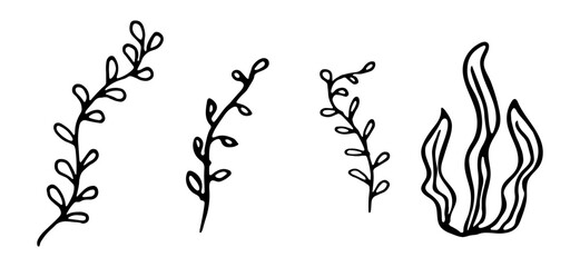 Hand drawn set of seaweed icons in Scandinavian style. Underwater ocean flora. Abstract organic shape of underwater plant. Vector illustration isolated on a white background. Undersea world.