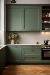 Interior of modern kitchen. Green color.