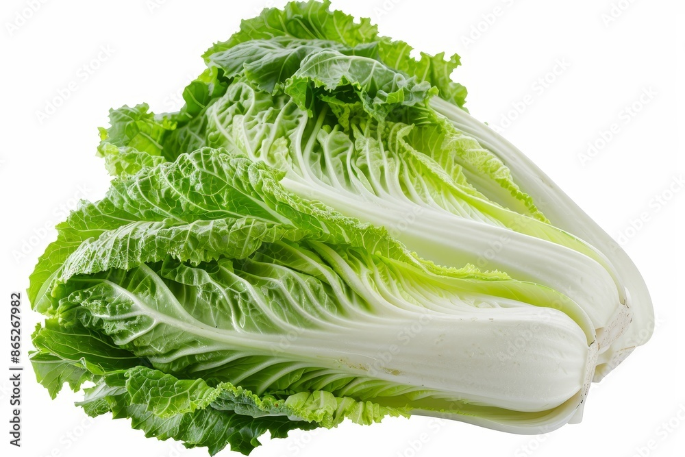 Wall mural in this image you can see a fresh chinese cabbage vegetable for dairy food, which has a high fiber a