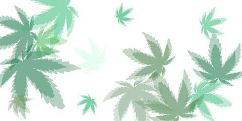 green fresh tea leaves isolated on white background